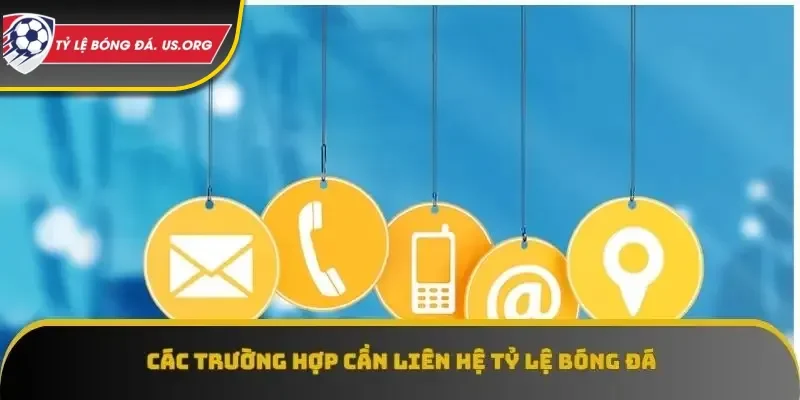 Tổng hợp các trường hợp cần liên hệ với trang web