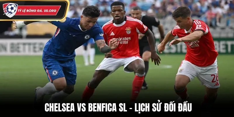 Thống kê thành tích đối đầu soi kèo Chelsea vs Benfica SL